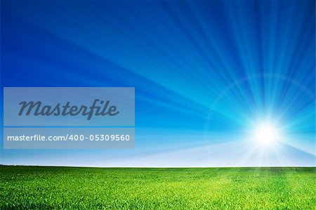 beautiful landscape, green grass, blue sky