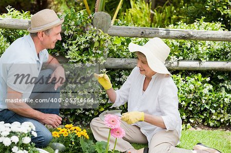 Mature couple working in the garden