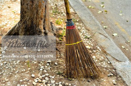 Coconut Leaf Broom lean against on Side Street Tree