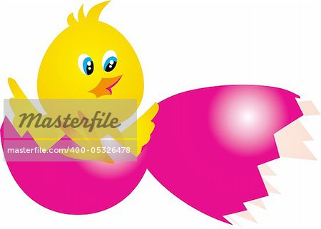 Chiken and Egg. Easter Vector on white background