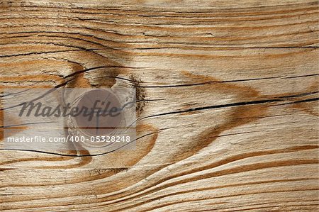 Macro structure  of new wooden cutting board