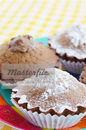 Chocolate cakes on the plate/the tasty dessert