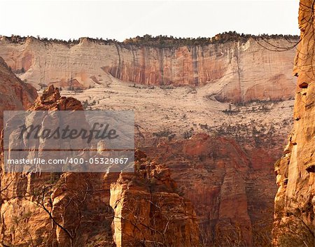 White Red Canyon Walls from Weeping Rock Zion Canyon National Park Utah Southwest