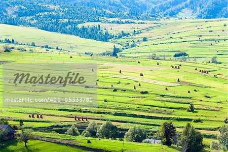 Outskirts of beautiful small mountain village on mountainside (Carpathian. Ukraine)