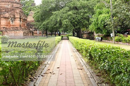 direct sidewalk in the garden.sidewalk in the garden, tree and grass in garden