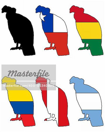 Andean Condor flags