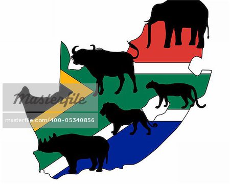Big Five South Africa