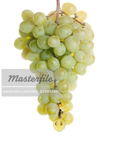 green grapes isoalted on white