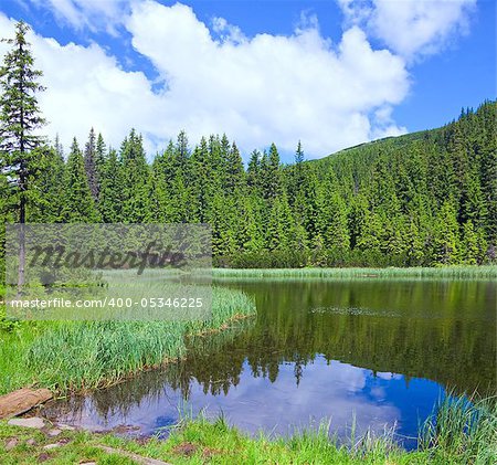 Summer mountain lake Marichejka and fir forest reflection (Ukraine, Chornogora Ridge, Carpathian Mountains)