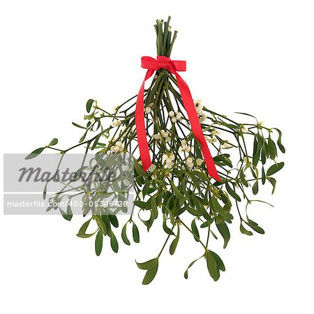 Mistletoe with berries and tied with a red ribbon with bow isolated over white background.