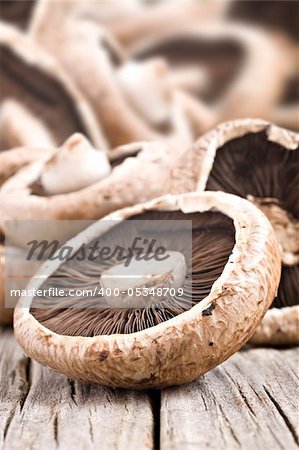 Healthy fresh mushrooms with very shallow depth of field