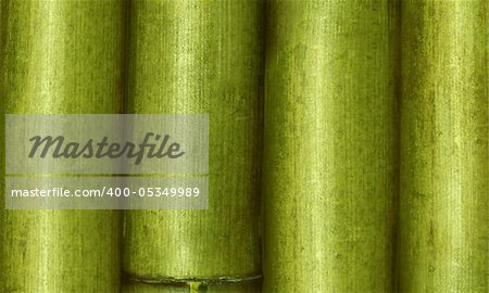 bamboo background close up for you and ur web