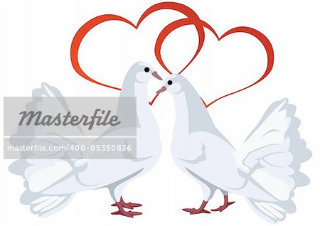 Two hearts and two white doves. The illustration on white background.