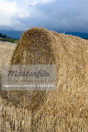 agriculture conceptual: still life,relax,rural,agriculture