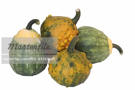 five pumpkin on white background