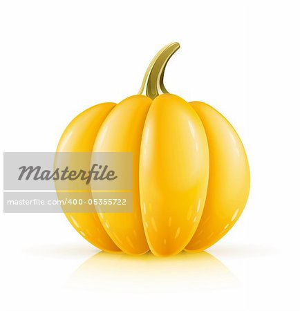 ripe orange pumpkin vector illustration isolated on white background
