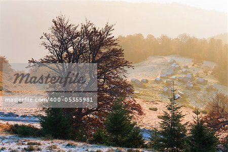 Autumn misty morning mountain view of cattle-breeding farm on plateau (Carpathian Mt's, Ukraine).