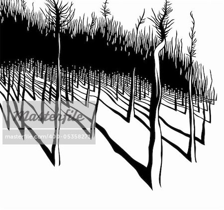 La forêt, illustration vectorielle noir et blanc.