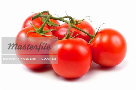 branch of tomato isolated over white background