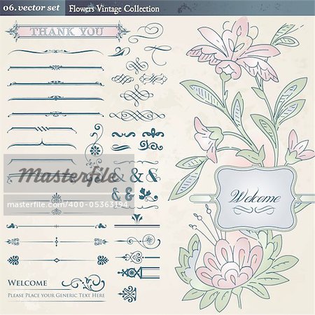 Set of different vintage and floral elements