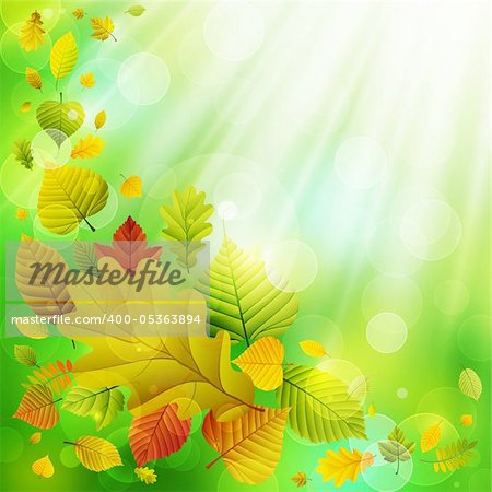 Autumn background with colorful leaves and place for text. Vector illustration