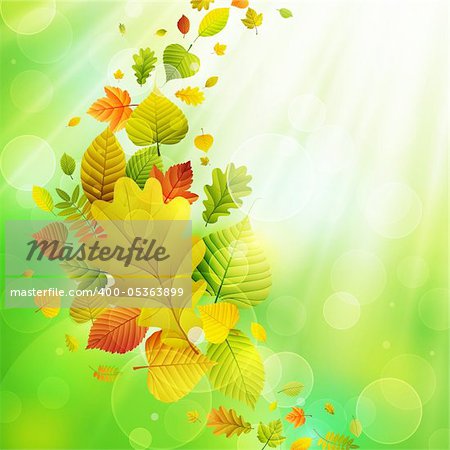Autumn background with colorful leaves and place for text. Vector illustration.