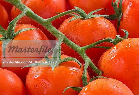 Tomatoes on the vine, a food background