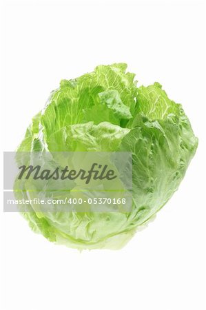 Iceberg Lettuce on White Background