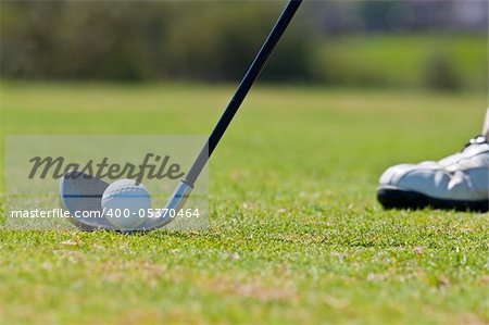 A real golfer in a golf course getting ready to strike the ball.