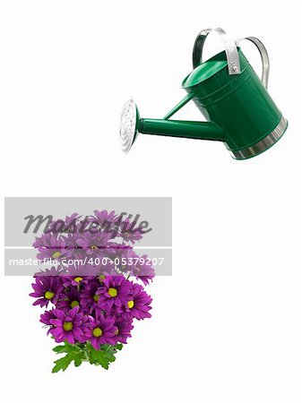 A watering can isolated against a white background