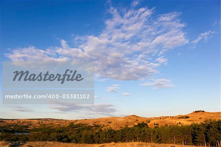 park, nature, landscape