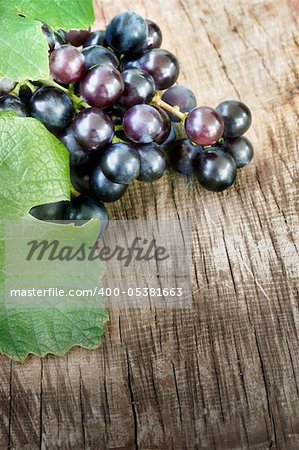 Freshly harvested Black grapes  on wooden background with copyspace