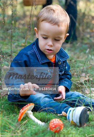 Cute boy and mushrooms in a forest