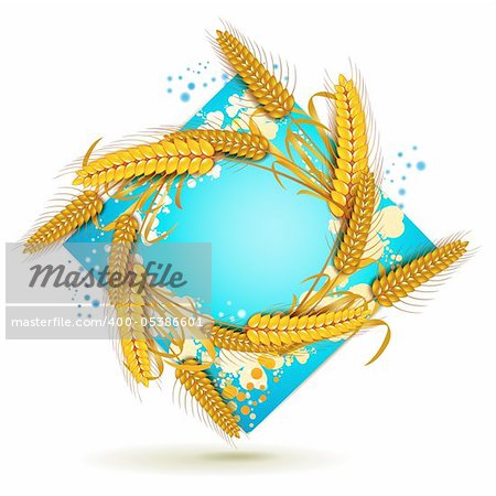Blue background with wheat ears