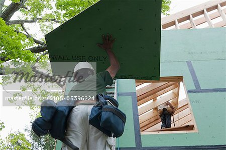 Hispanic carpenters taking wall sheathing up ladder at a house under construction