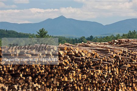 Pile de journaux dans une forêt, Berlin, New Hampshire, USA Pile de journaux dans une forêt, Berlin, New Hampshire, USA