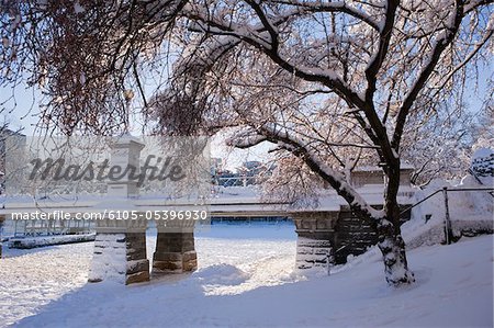 Snow covered trees with a footbridge in a public park, Boston Public Garden, Boston, Massachusetts, USA