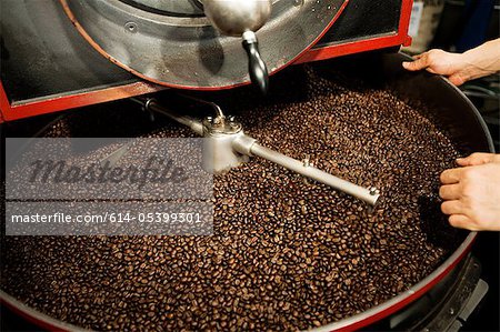 Coffee beans in coffee grinder