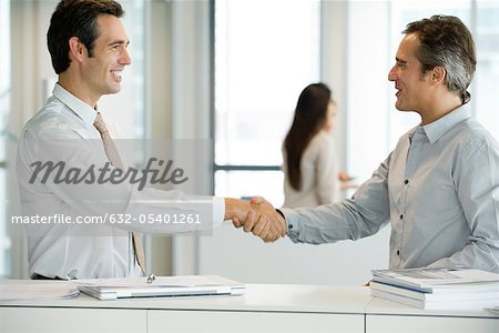 Business partners shaking hands