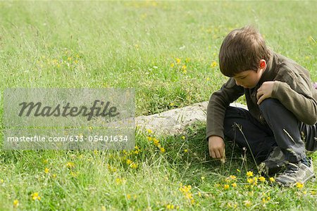 Boy crouching in grass, looking at something on the ground