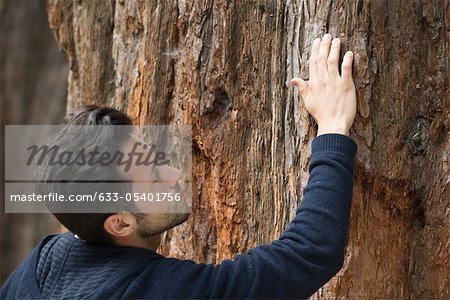 Man touching tree bark
