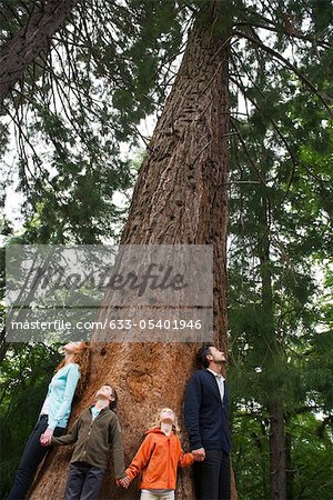 Famille debout ensemble à la base du grand arbre, main dans la main