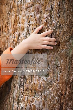 Child's hand touching tree trunk