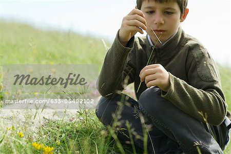 Boy looking at ladybug crawling on twig