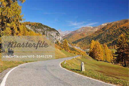 Route, La Punt-Chamues-ch, col de l'Albula, Canton des Grisons, Suisse