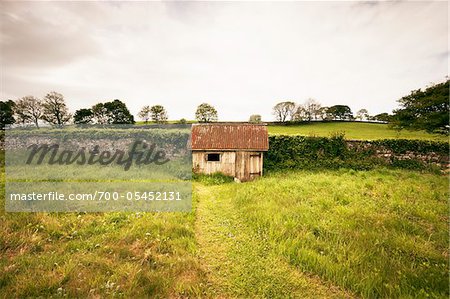 Path Leading to Garden Shed by Stone Wall, Dumfries & Galloway, Scotland, United Kingdom