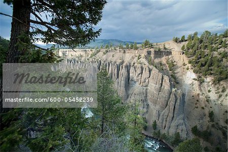 Overview of River and Gorge, Yellowstone National Park, Wyoming, USA