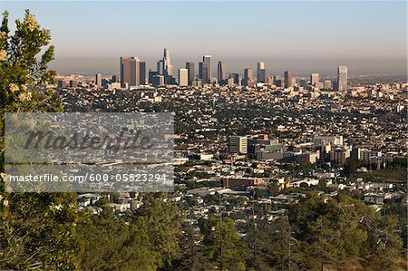 Vue d'ensemble de Downtown Los Angeles de Griffith Park, Californie, Etats-Unis