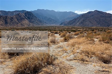 Désert et montagnes à l'extérieur de Palm Springs, Californie, USA