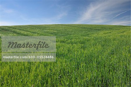 Grain exterieur, Edertal, Hesse, Allemagne